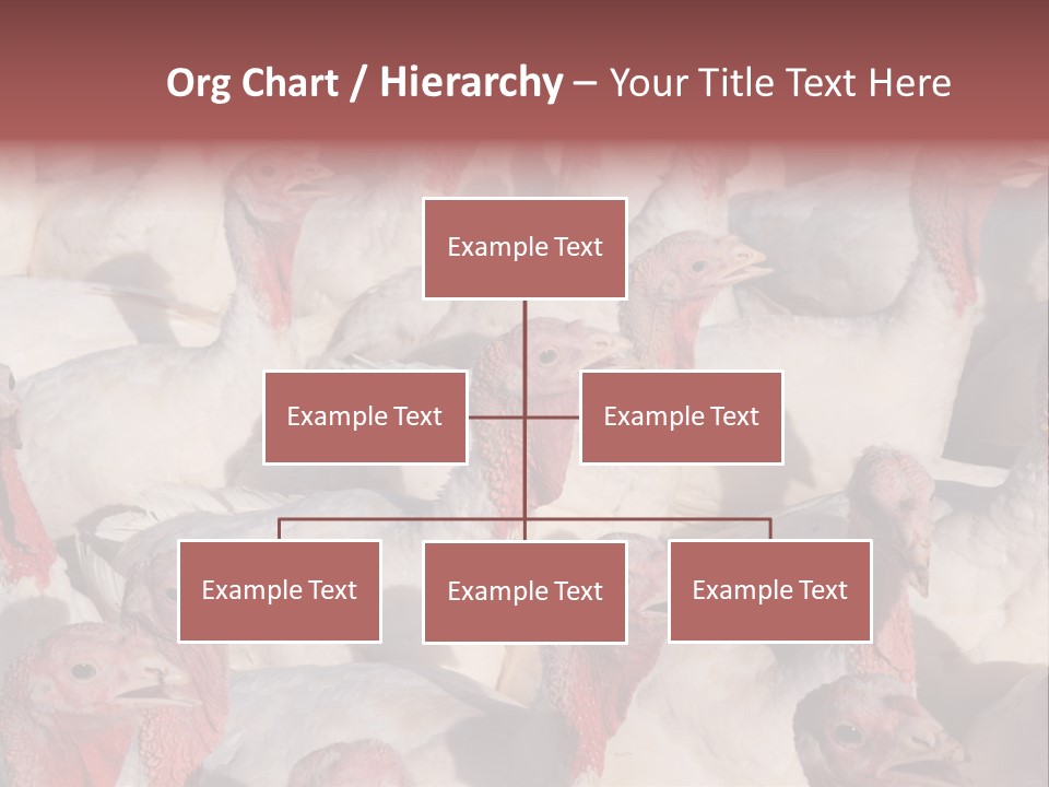 Red Pregnancy Motherhood PowerPoint Template