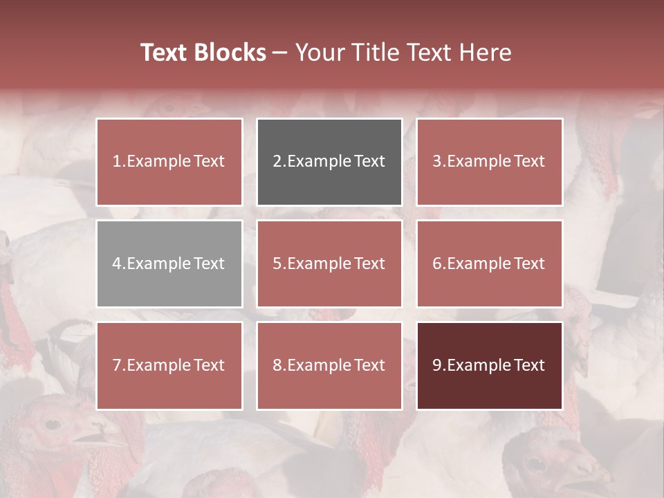 Red Pregnancy Motherhood PowerPoint Template