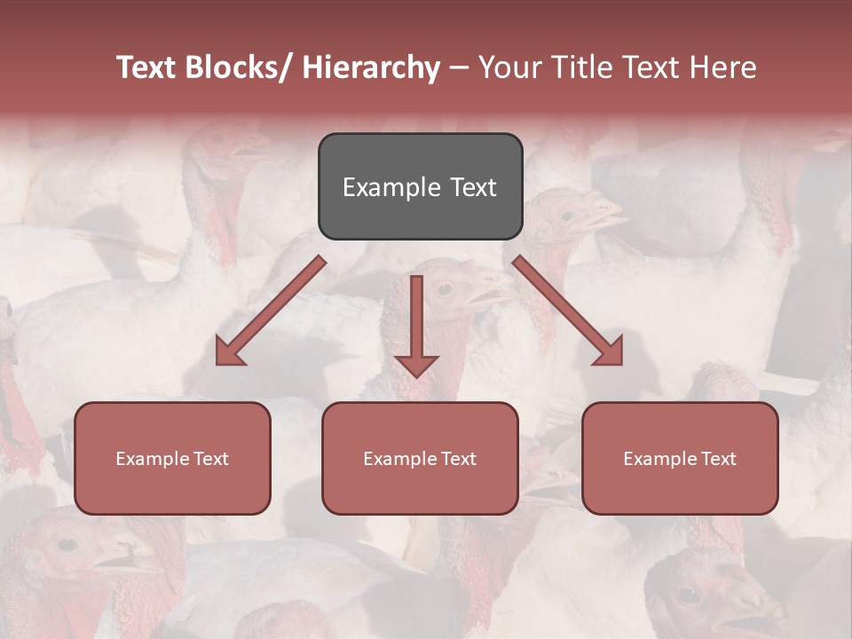 Red Pregnancy Motherhood PowerPoint Template