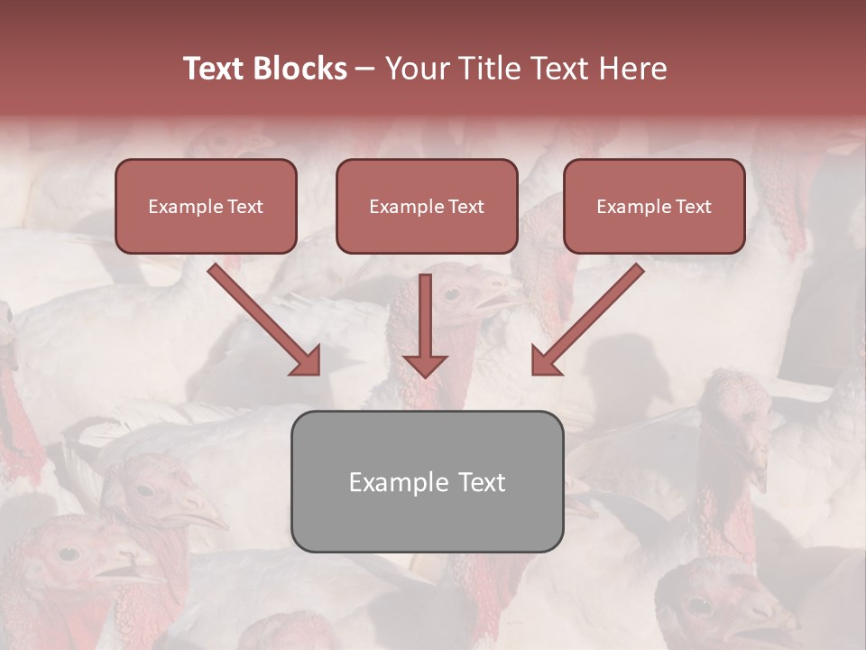 Red Pregnancy Motherhood PowerPoint Template