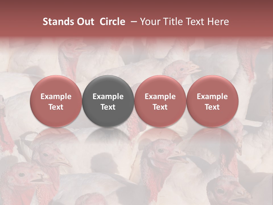 Red Pregnancy Motherhood PowerPoint Template