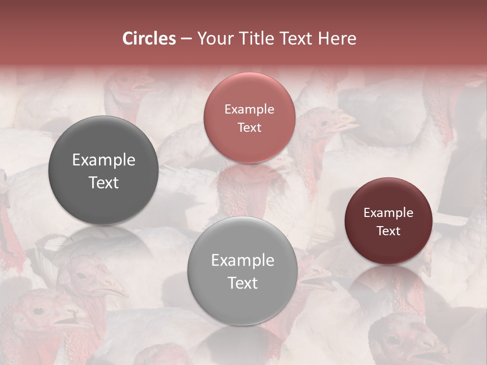 Red Pregnancy Motherhood PowerPoint Template