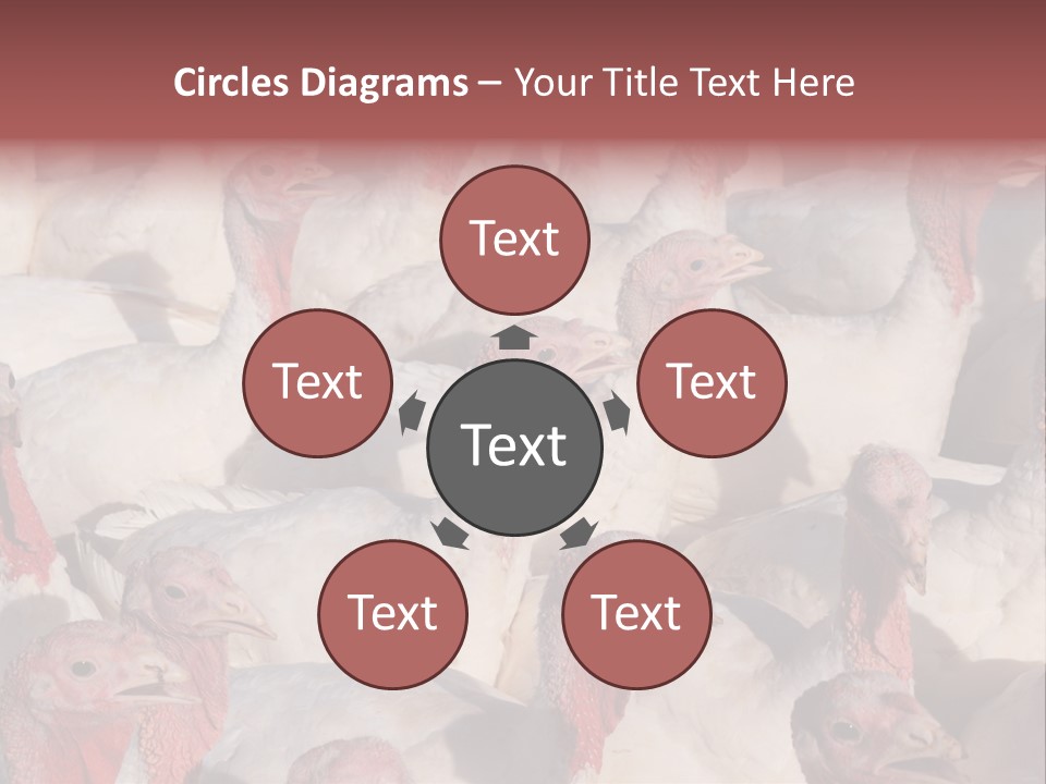 Red Pregnancy Motherhood PowerPoint Template