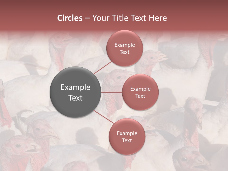 Red Pregnancy Motherhood PowerPoint Template