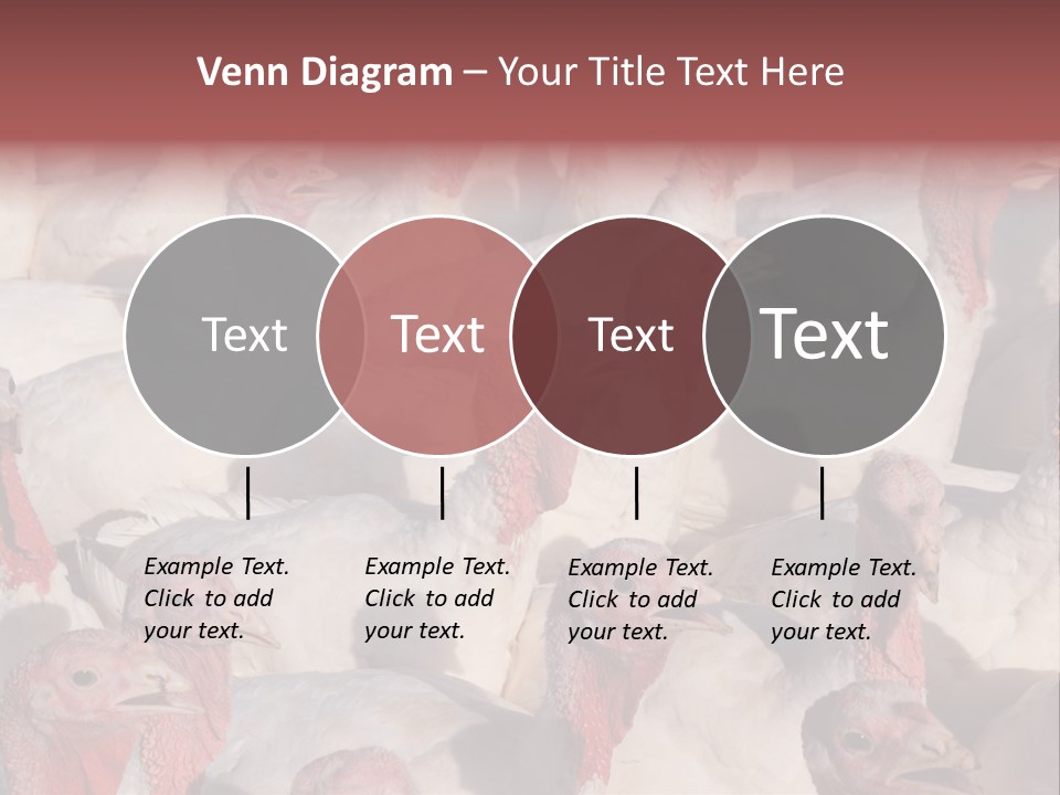 Red Pregnancy Motherhood PowerPoint Template