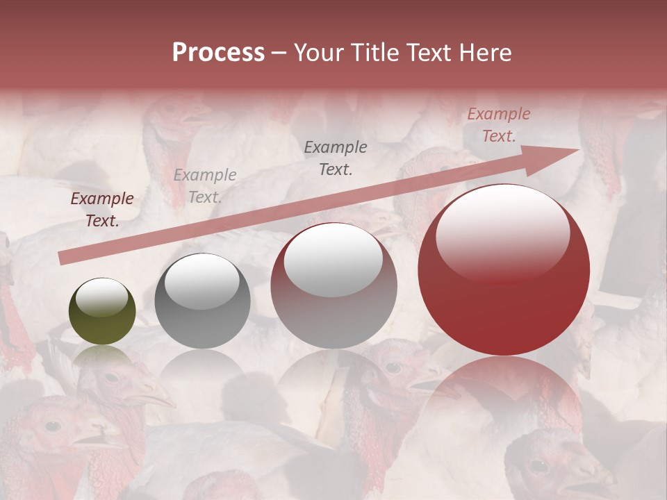 Red Pregnancy Motherhood PowerPoint Template