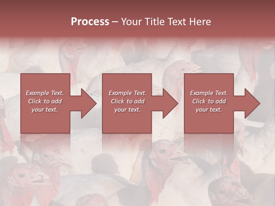 Red Pregnancy Motherhood PowerPoint Template
