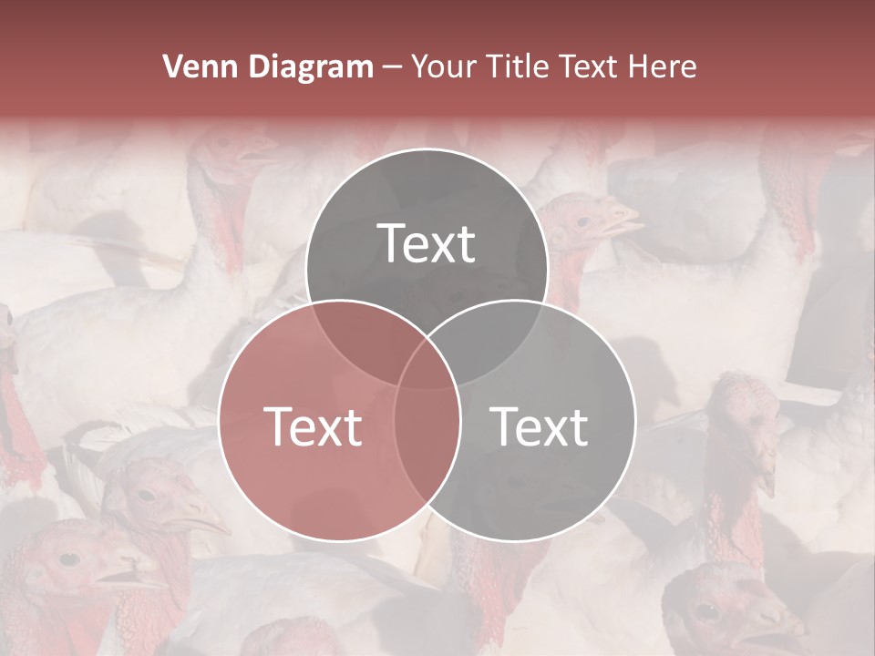 Red Pregnancy Motherhood PowerPoint Template