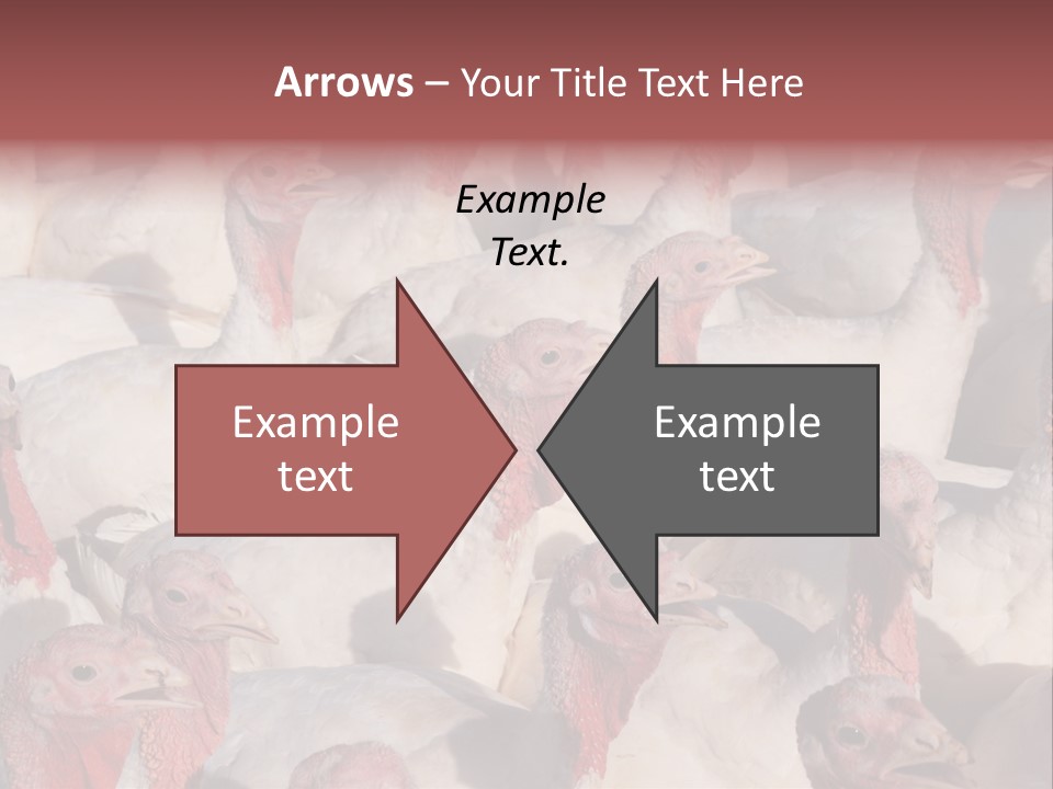 Red Pregnancy Motherhood PowerPoint Template