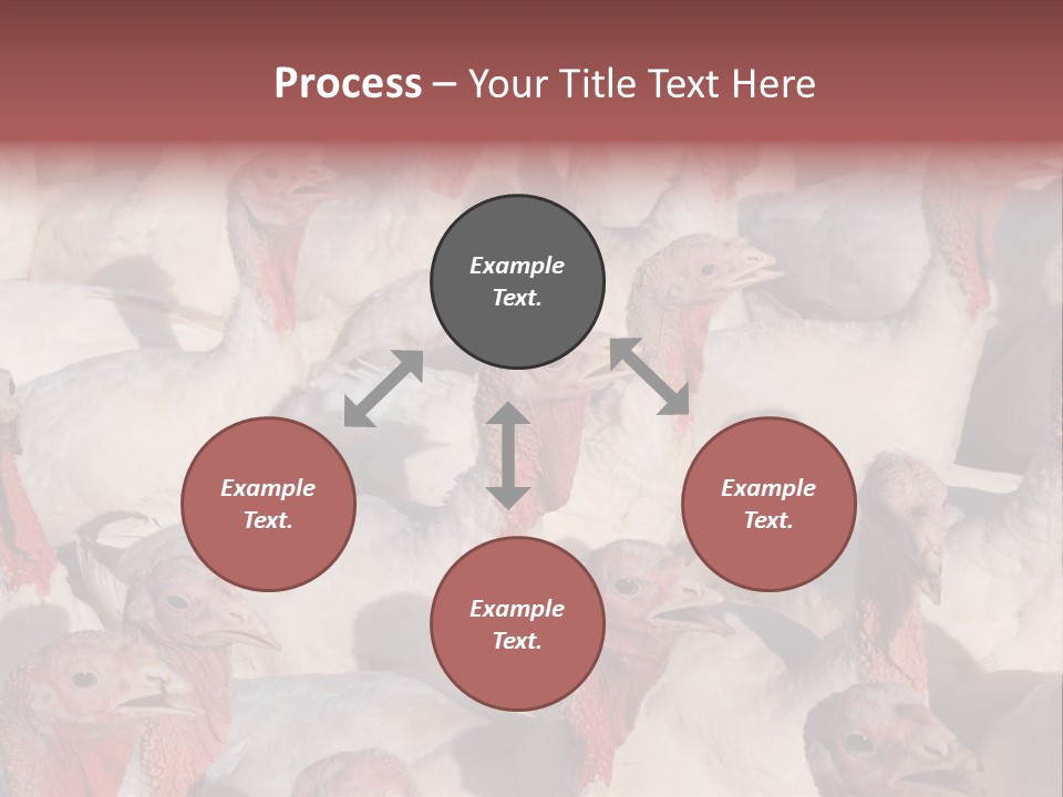 Red Pregnancy Motherhood PowerPoint Template