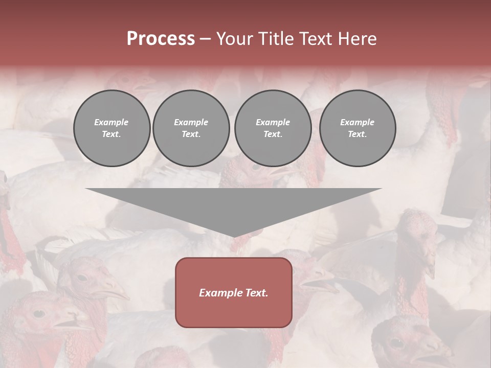 Red Pregnancy Motherhood PowerPoint Template