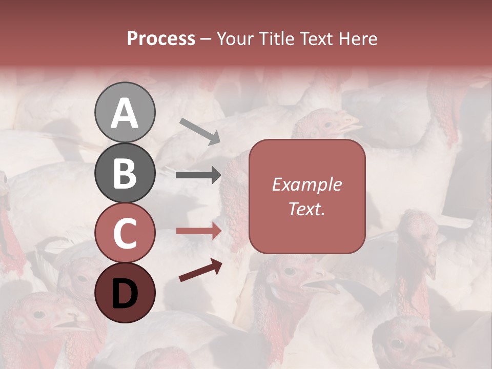 Red Pregnancy Motherhood PowerPoint Template