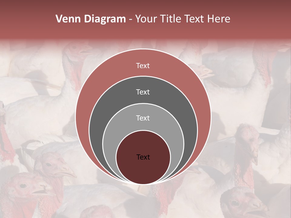 Red Pregnancy Motherhood PowerPoint Template
