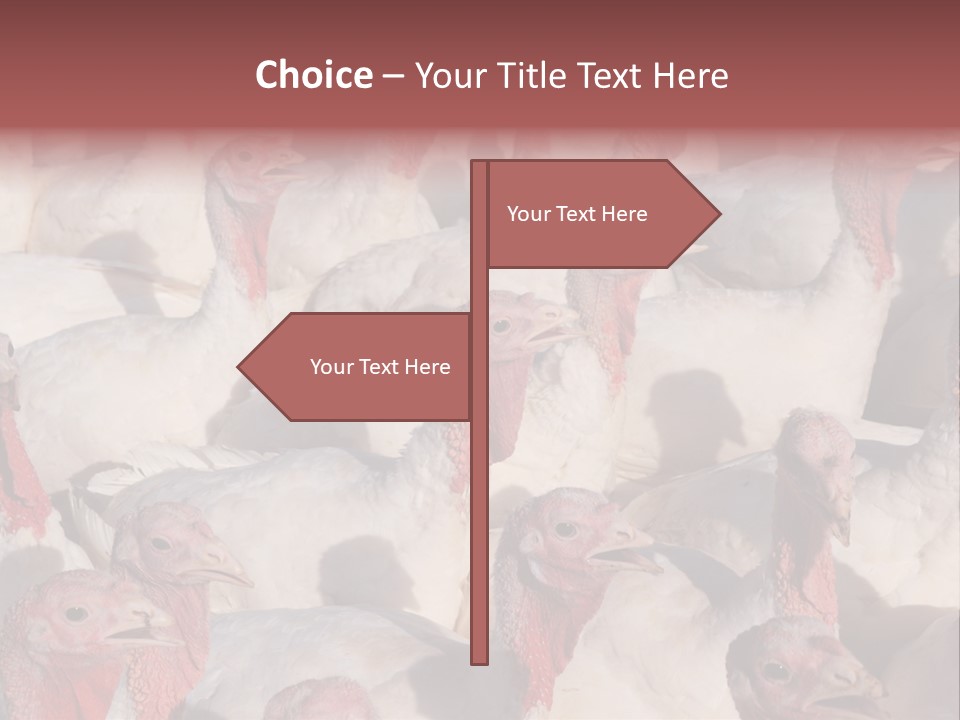 Red Pregnancy Motherhood PowerPoint Template