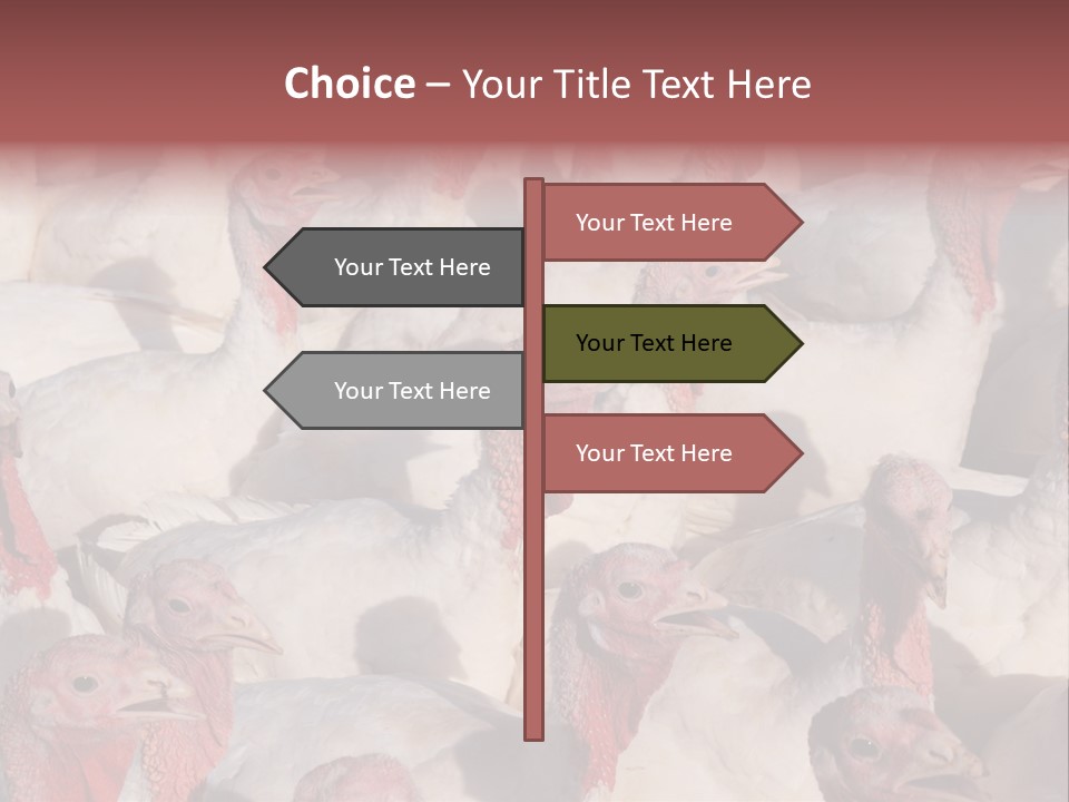 Red Pregnancy Motherhood PowerPoint Template