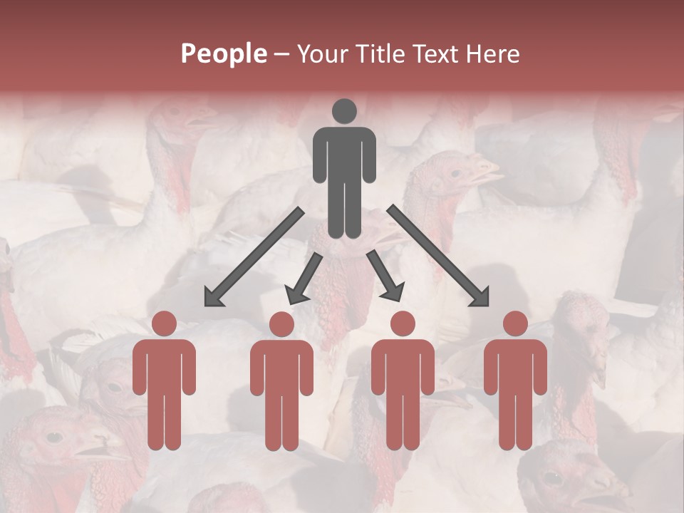 Red Pregnancy Motherhood PowerPoint Template