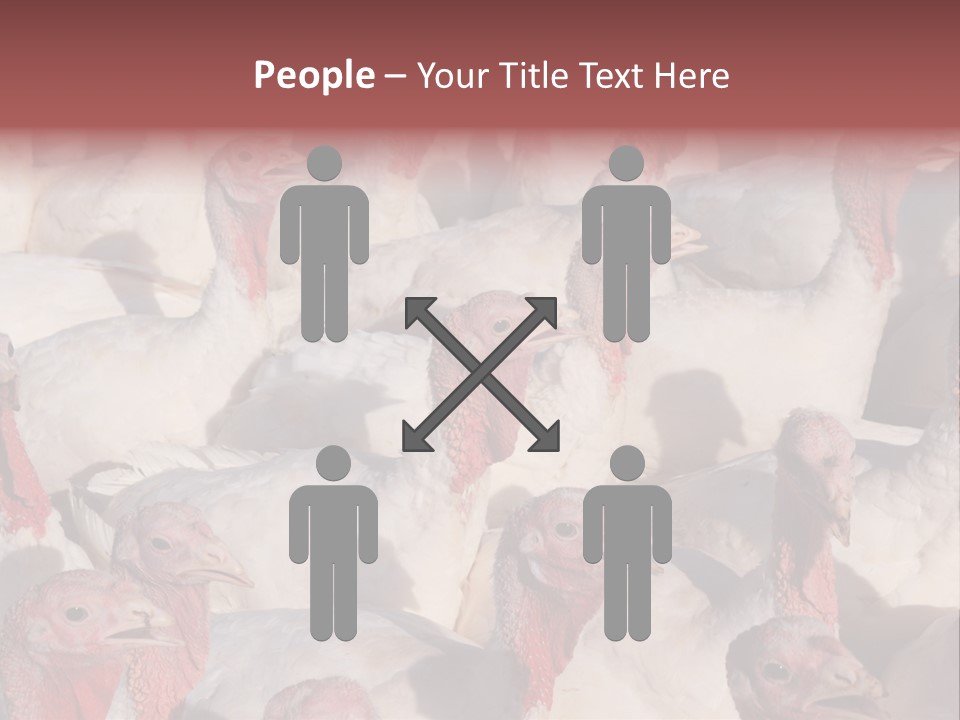 Red Pregnancy Motherhood PowerPoint Template