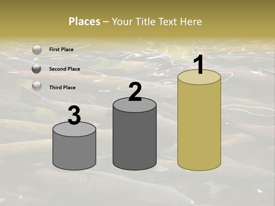 Orange Meal Part PowerPoint Template