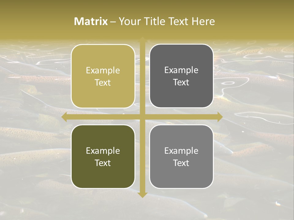 Orange Meal Part PowerPoint Template