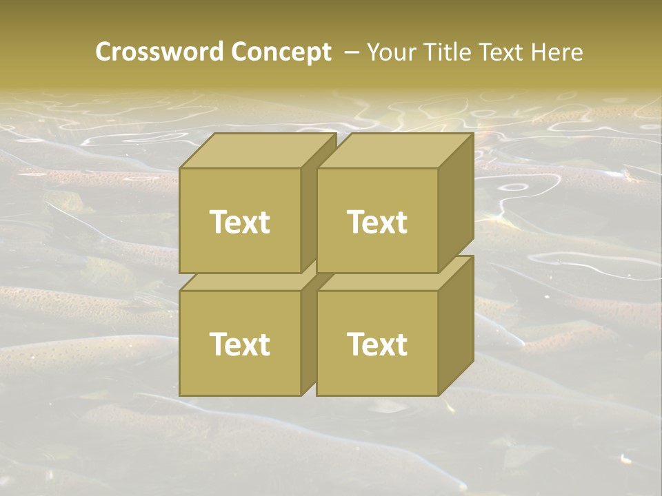 Orange Meal Part PowerPoint Template
