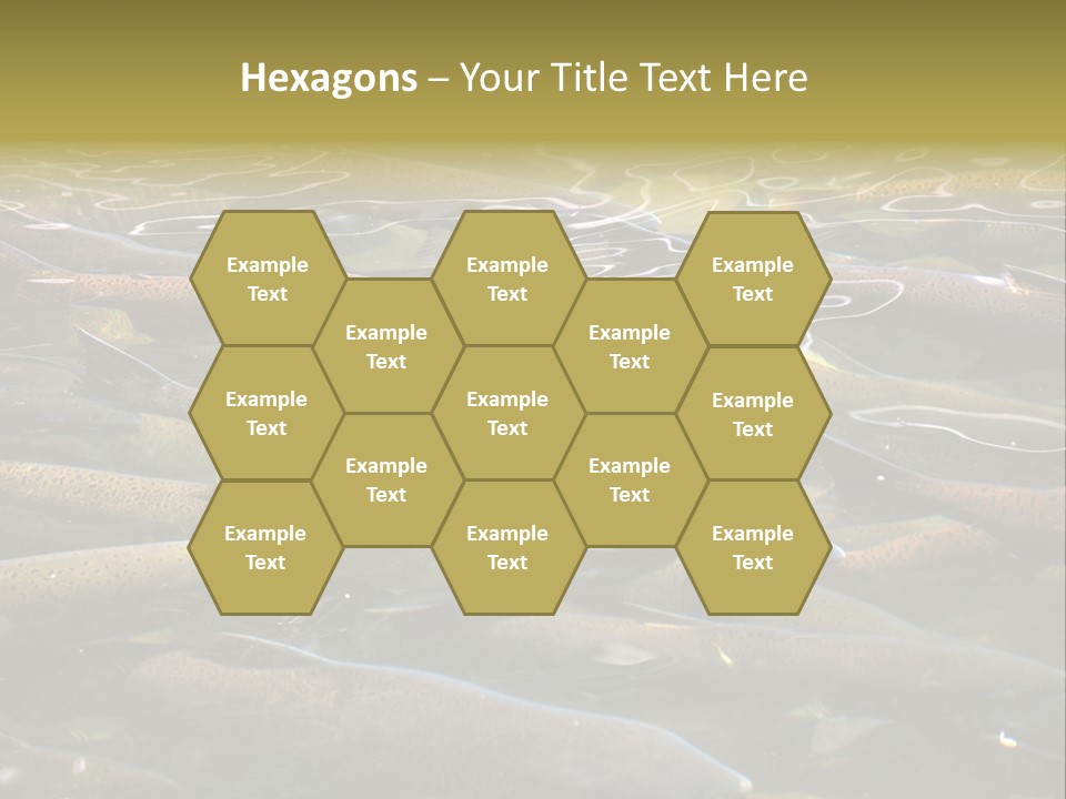 Orange Meal Part PowerPoint Template