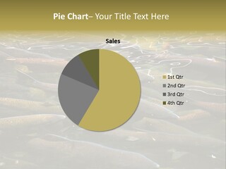 Orange Meal Part PowerPoint Template