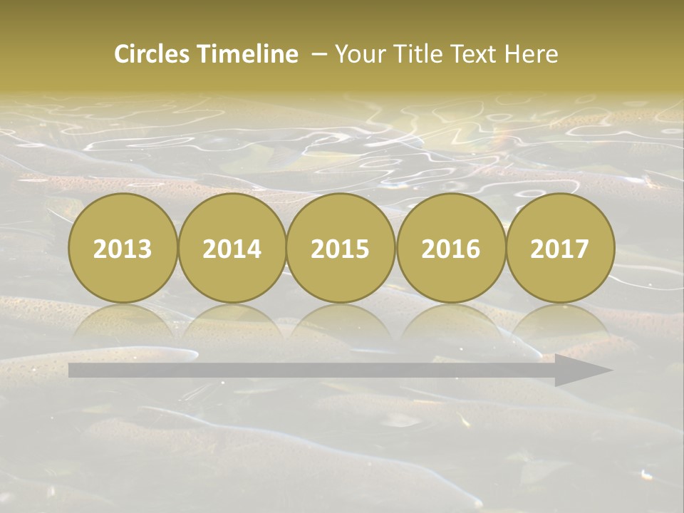 Orange Meal Part PowerPoint Template