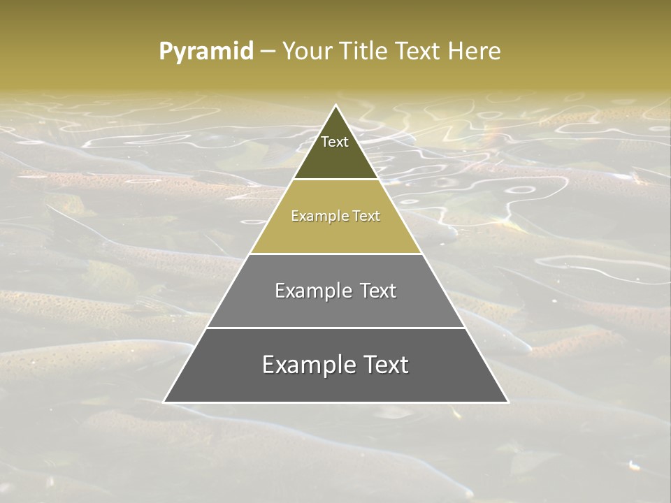 Orange Meal Part PowerPoint Template