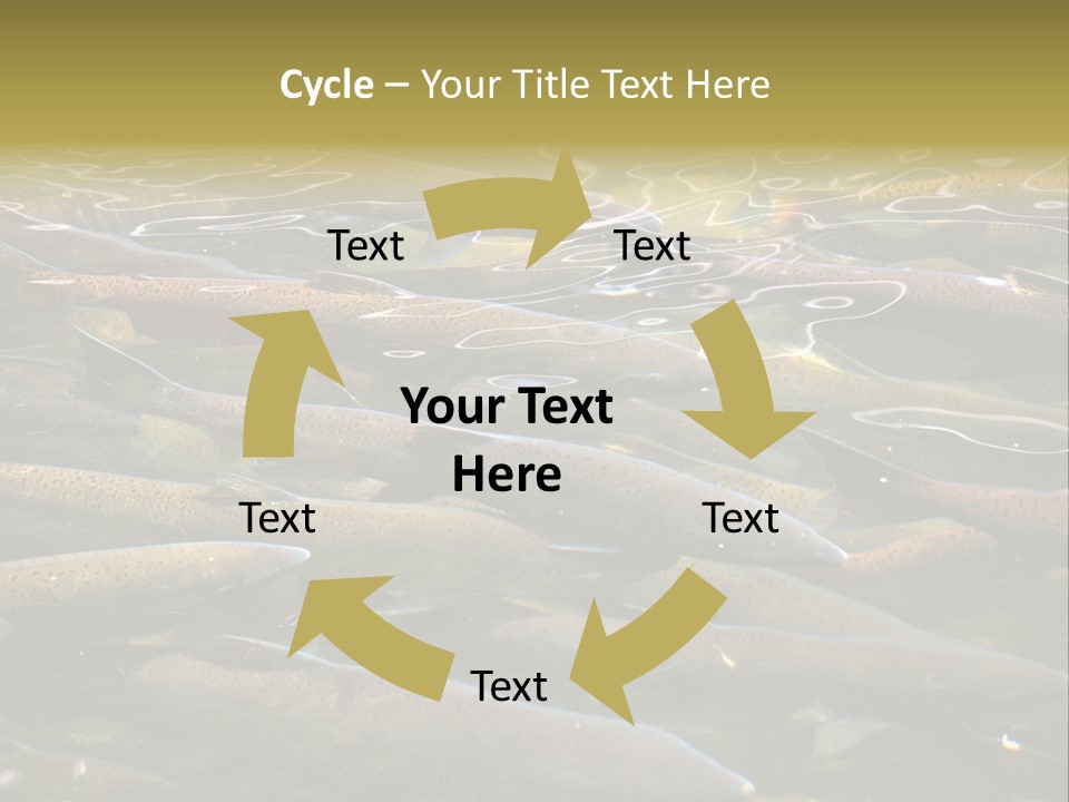 Orange Meal Part PowerPoint Template