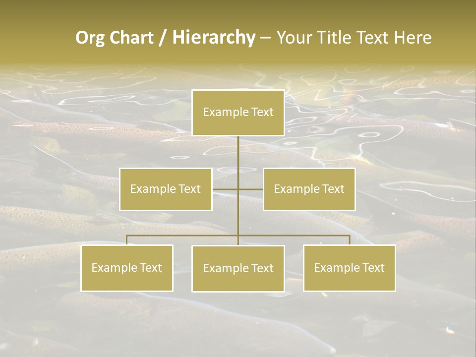 Orange Meal Part PowerPoint Template