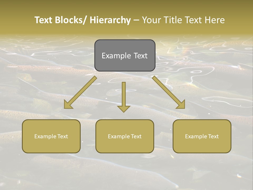 Orange Meal Part PowerPoint Template