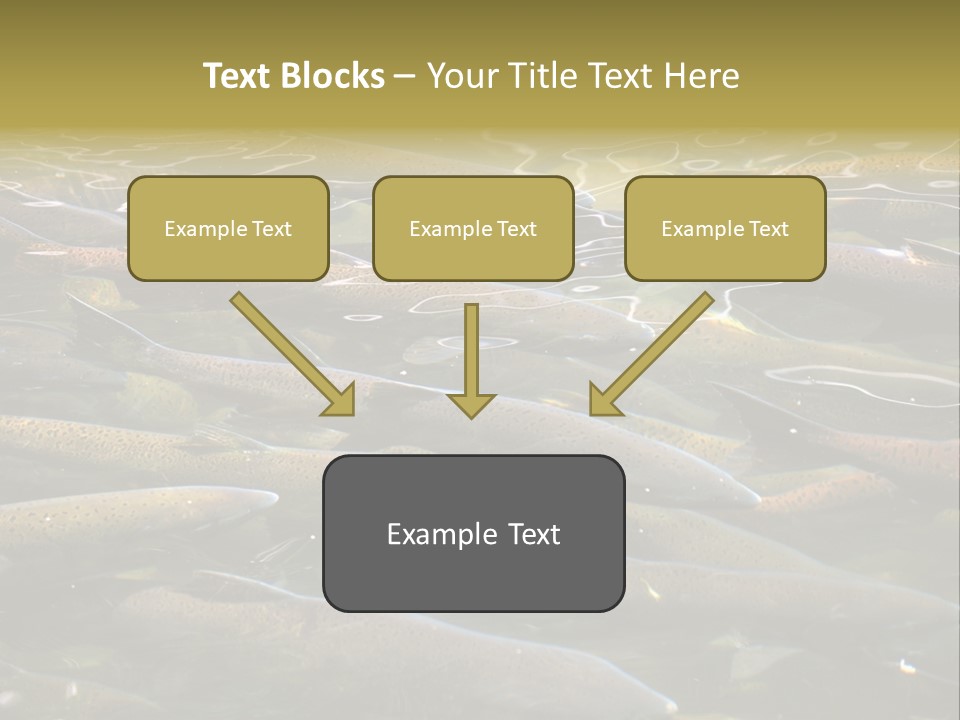 Orange Meal Part PowerPoint Template