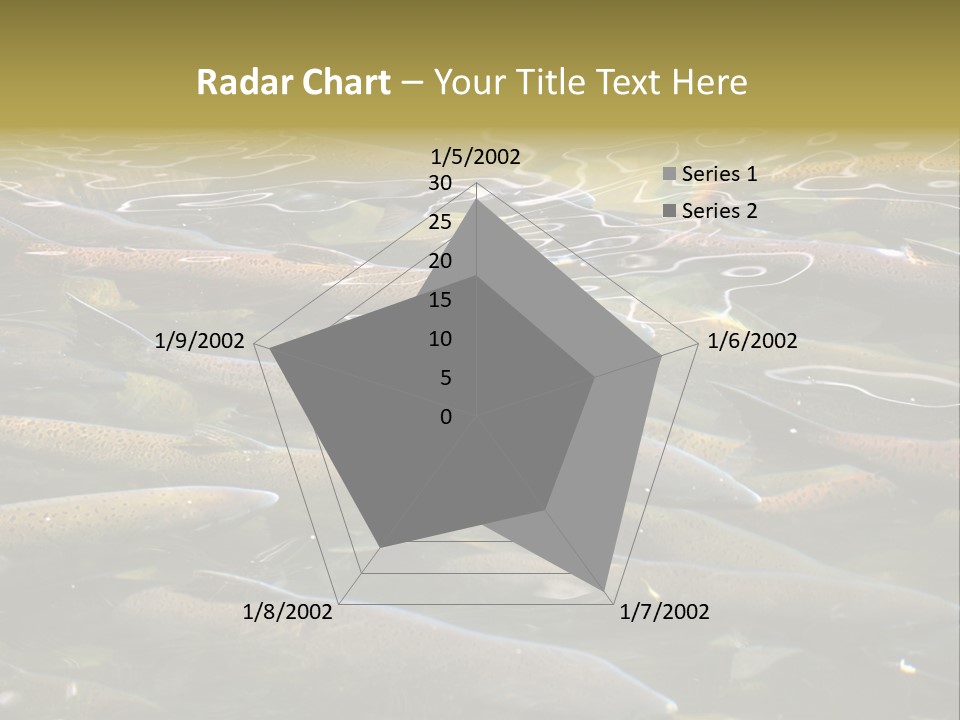 Orange Meal Part PowerPoint Template