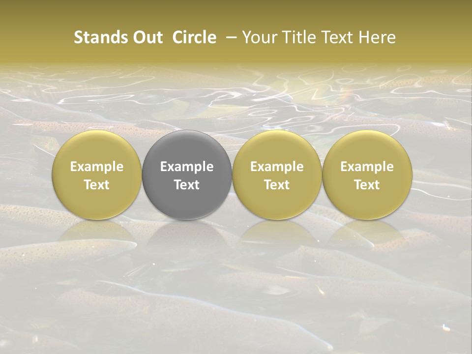 Orange Meal Part PowerPoint Template