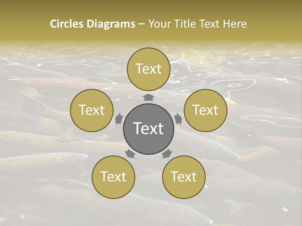 Orange Meal Part PowerPoint Template