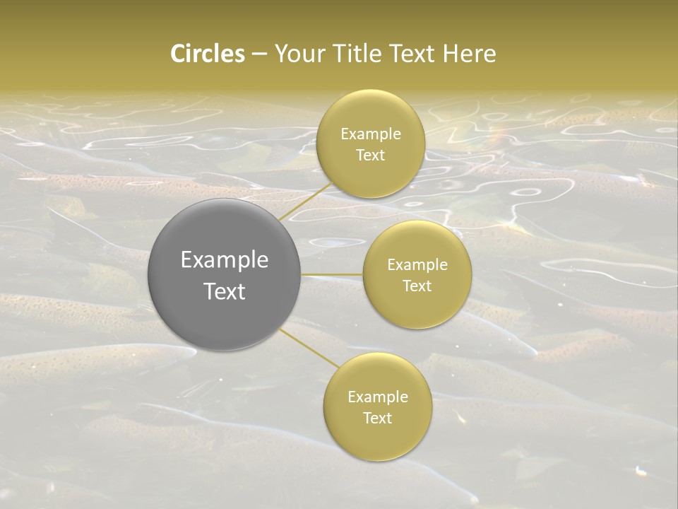Orange Meal Part PowerPoint Template
