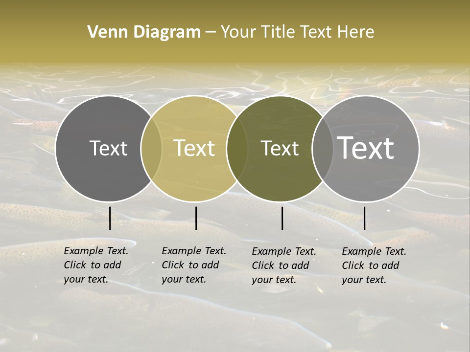 Orange Meal Part PowerPoint Template