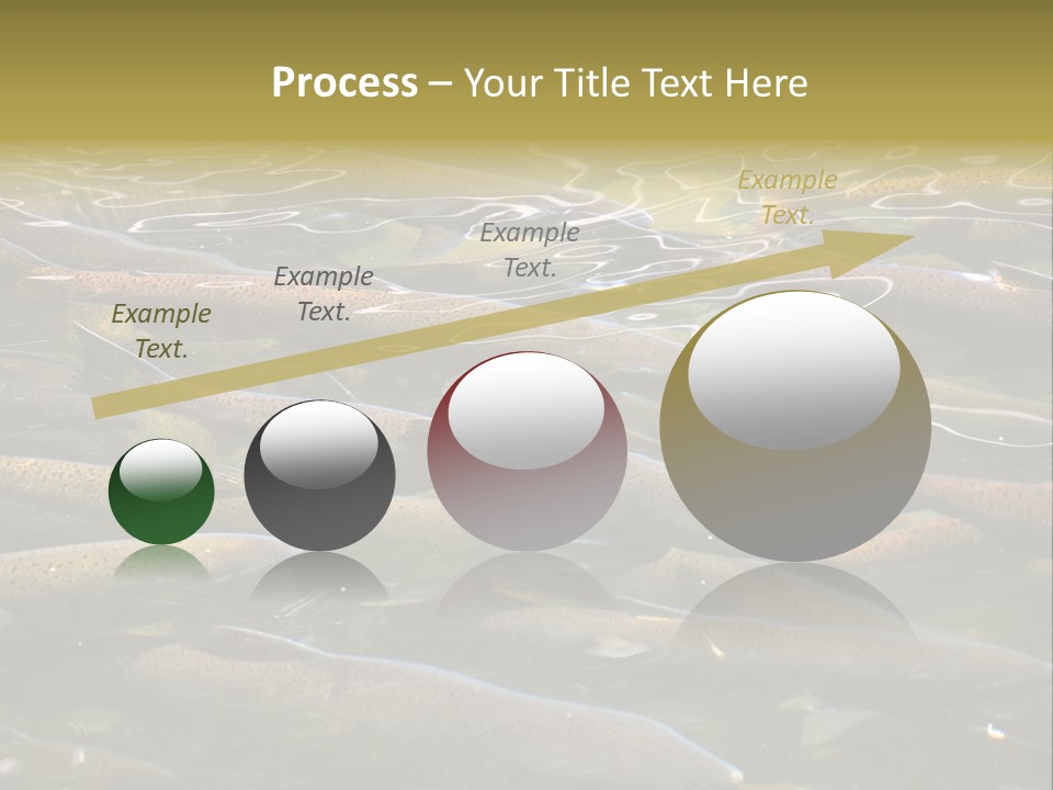 Orange Meal Part PowerPoint Template