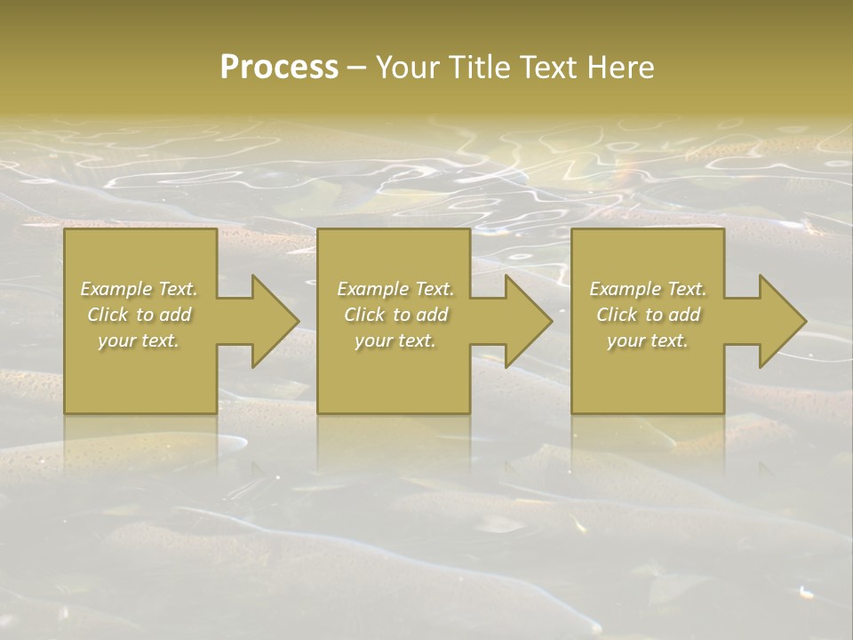 Orange Meal Part PowerPoint Template