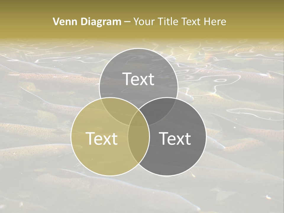 Orange Meal Part PowerPoint Template