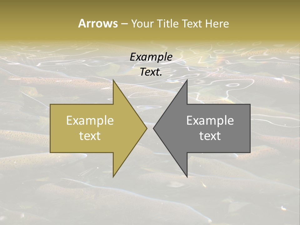Orange Meal Part PowerPoint Template