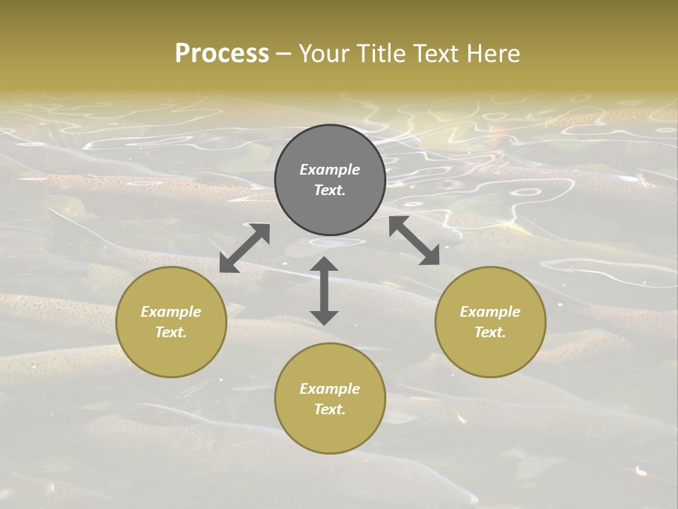 Orange Meal Part PowerPoint Template