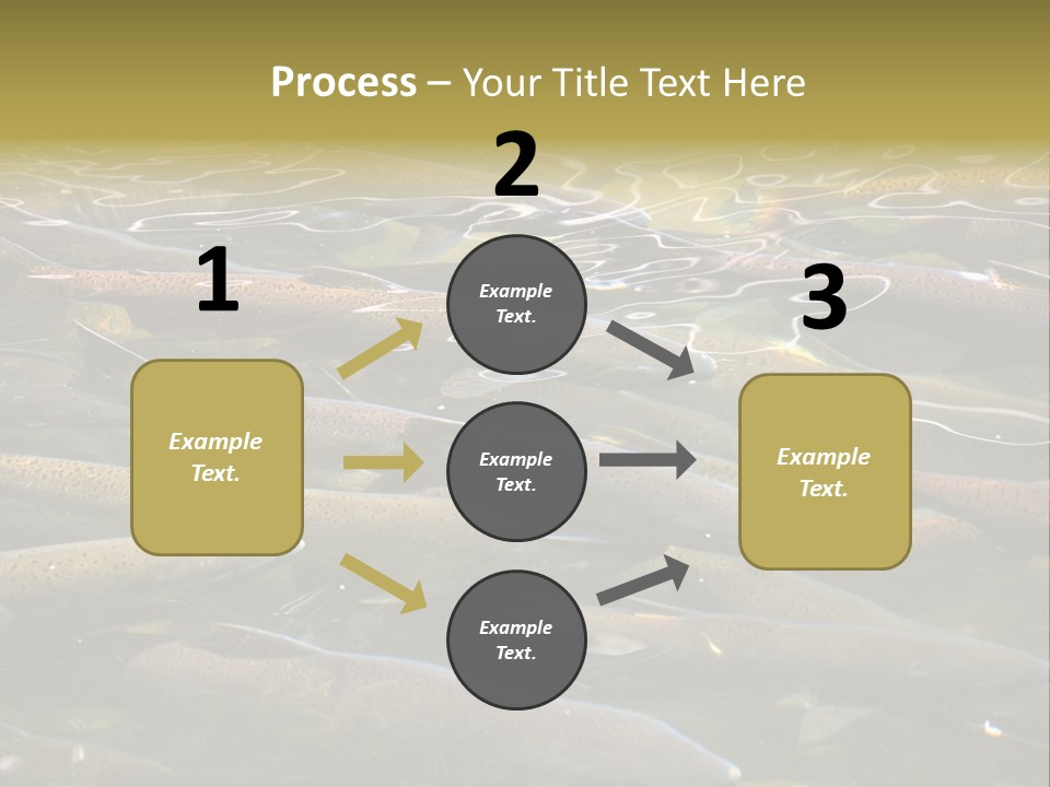 Orange Meal Part PowerPoint Template