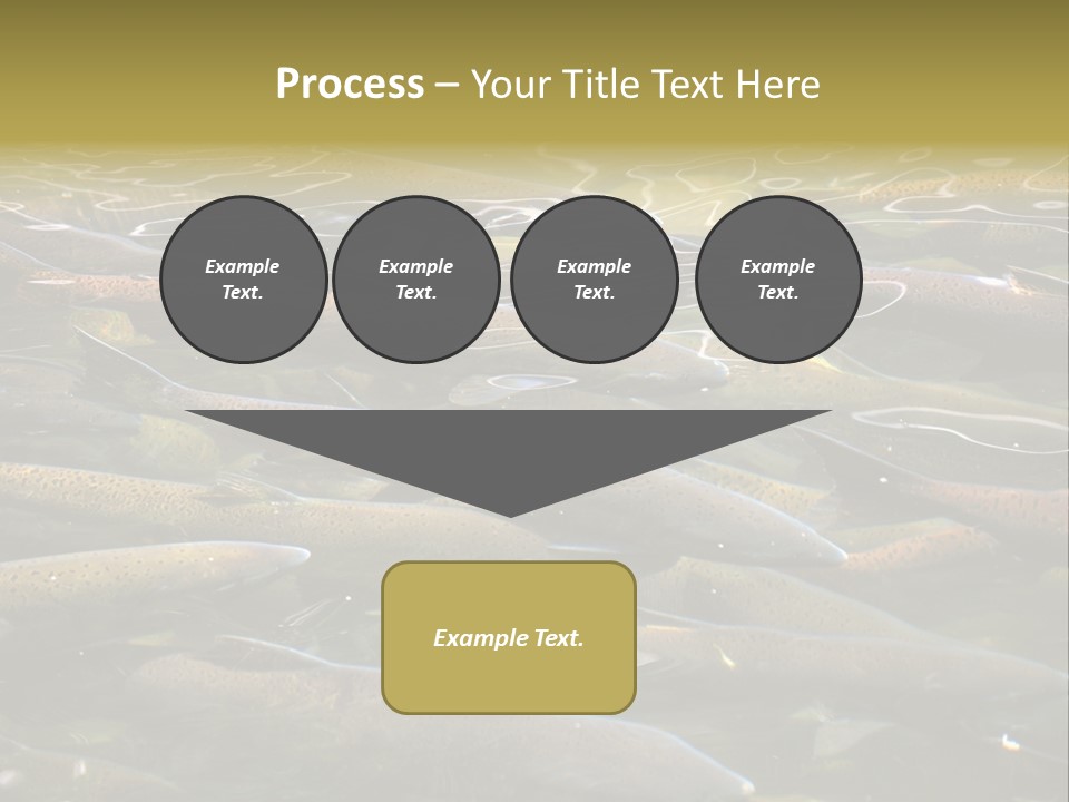 Orange Meal Part PowerPoint Template