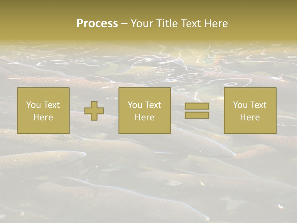 Orange Meal Part PowerPoint Template