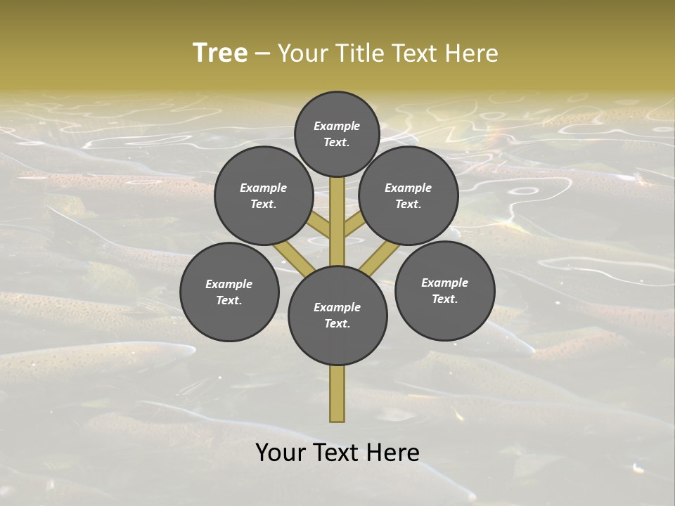 Orange Meal Part PowerPoint Template