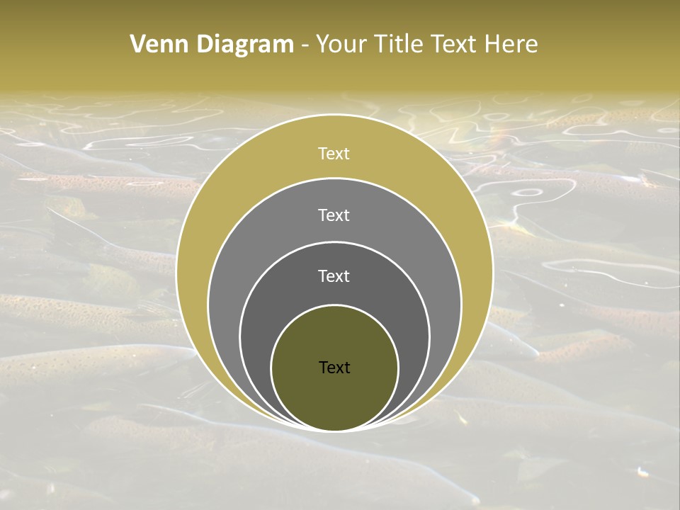Orange Meal Part PowerPoint Template