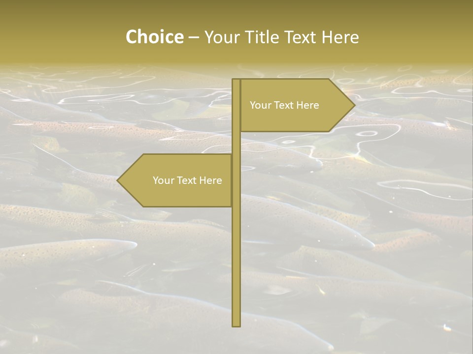 Orange Meal Part PowerPoint Template