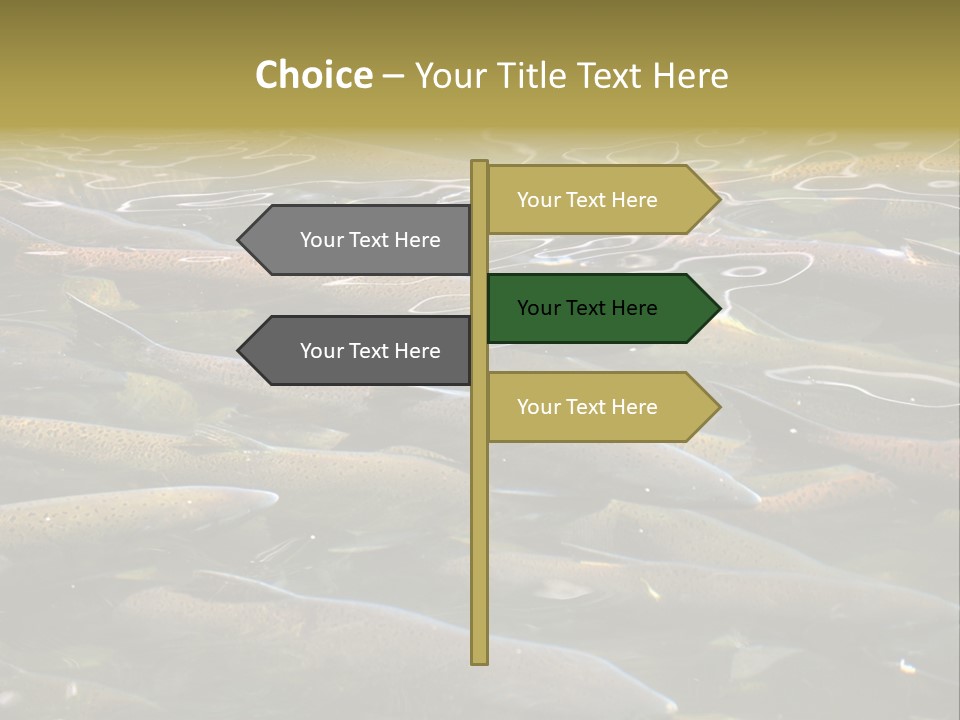 Orange Meal Part PowerPoint Template