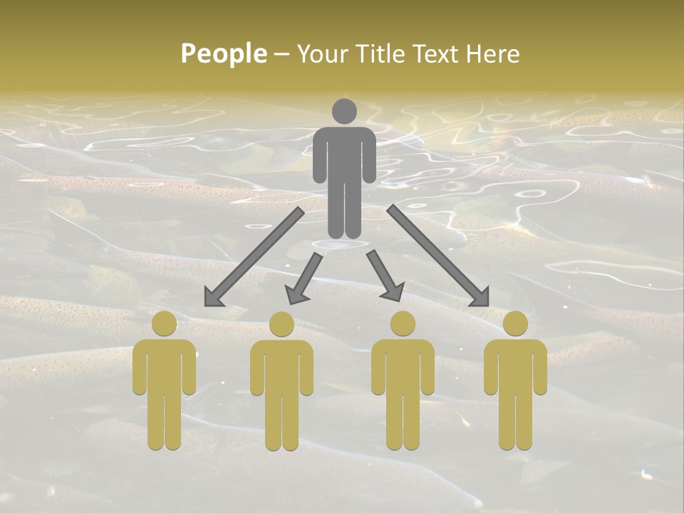 Orange Meal Part PowerPoint Template